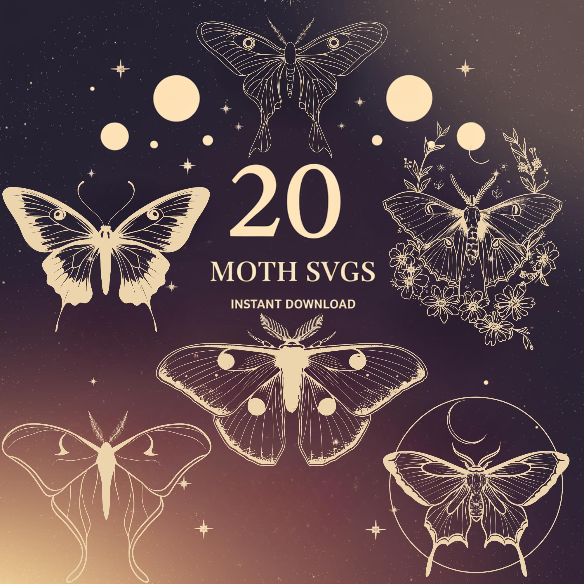 Luna Moth SVG Bundle: Celestial Insect Cut Files (Digital Download)