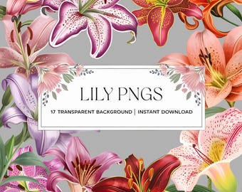 Watercolor Lily Clipart: Hand-Drawn Floral PNG Bundle (Digital Art)