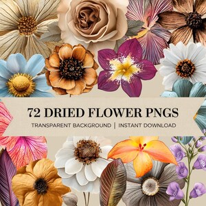 Clipart fleur séchée, PNG floral vintage, fleurs botaniques aquarelles, graphiques de fleurs sauvages, sublimation de mariage, esthétique rustique, 72 PNG