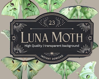 Può includere: Un download digitale di 23 immagini di alta qualità di falene Luna con sfondi trasparenti. Le immagini mostrano falene verdi con grandi segni oculari sulle ali. Il testo "LUNA MOTH" è visualizzato su un cartello nero con accenti dorati.