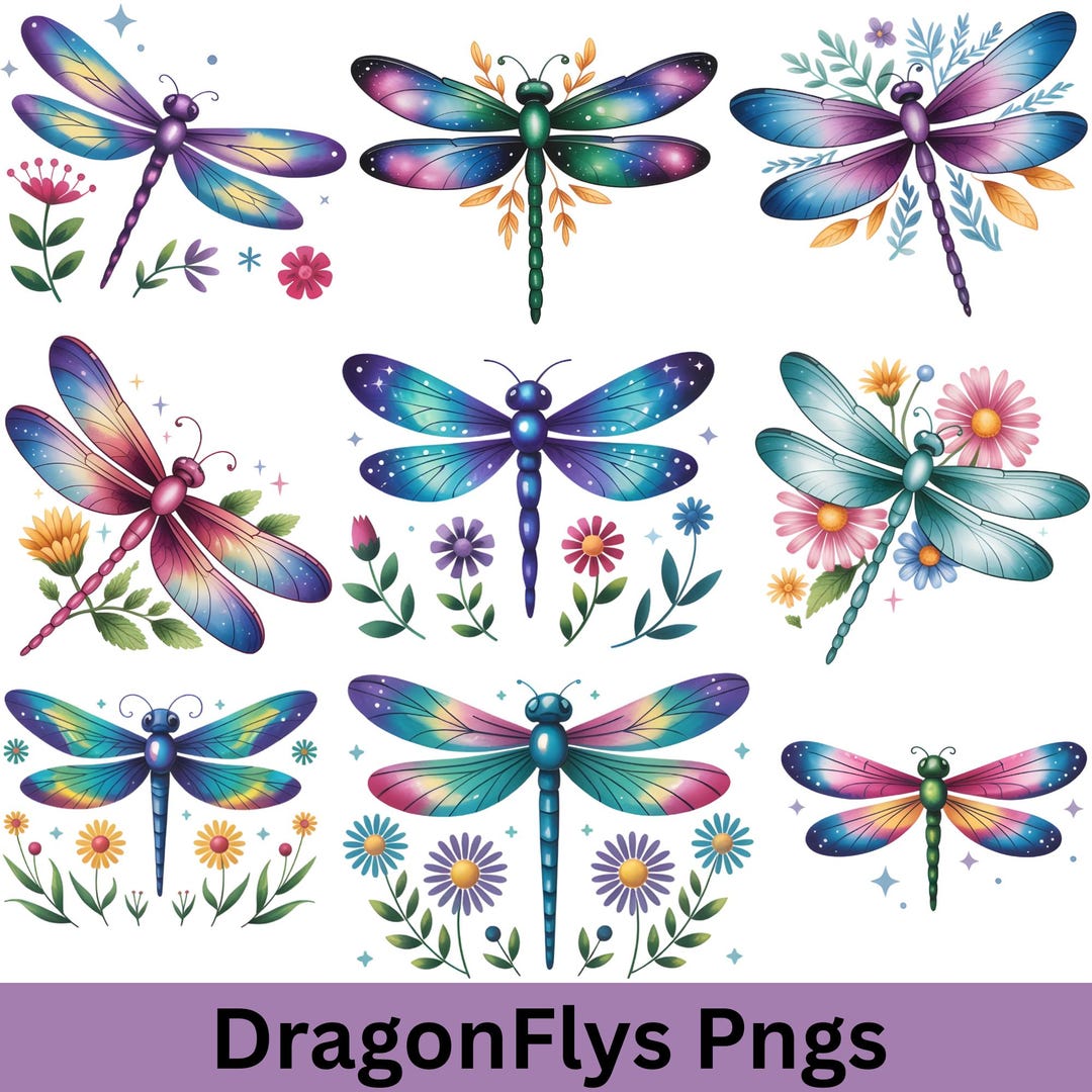 Dragonfly Clipart Bundle: Boho Floral Insect PNG Designs (digital ...