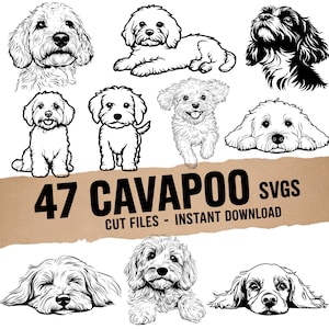 Cavapoo SVG-Bundle, süße Cavapoo Clipart, Doodle-Hund PNG, Cavapoo Silhouette, Welpe Linie Kunst, Hunderasse SVG, Cricut Cut-Dateien, Sublimation
