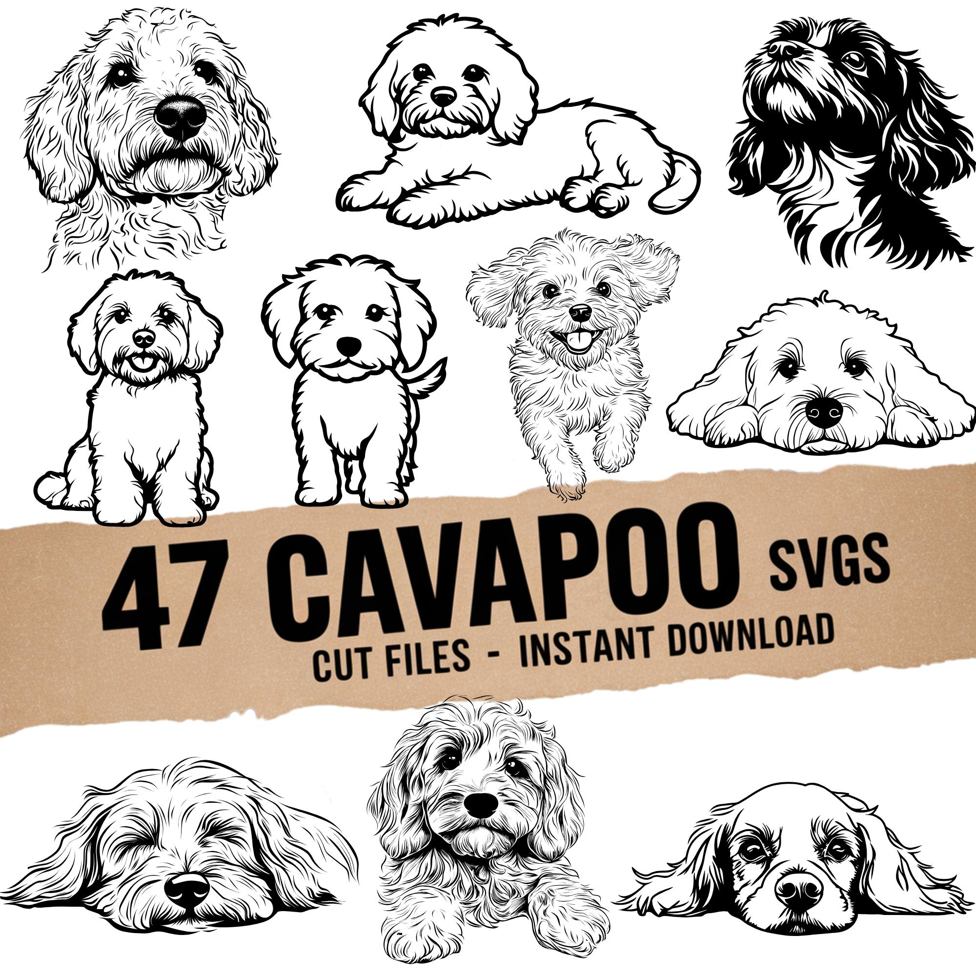 Cavapoo SVG Bundle, Dog Breed Clipart, Puppy Line Art (cricut ...