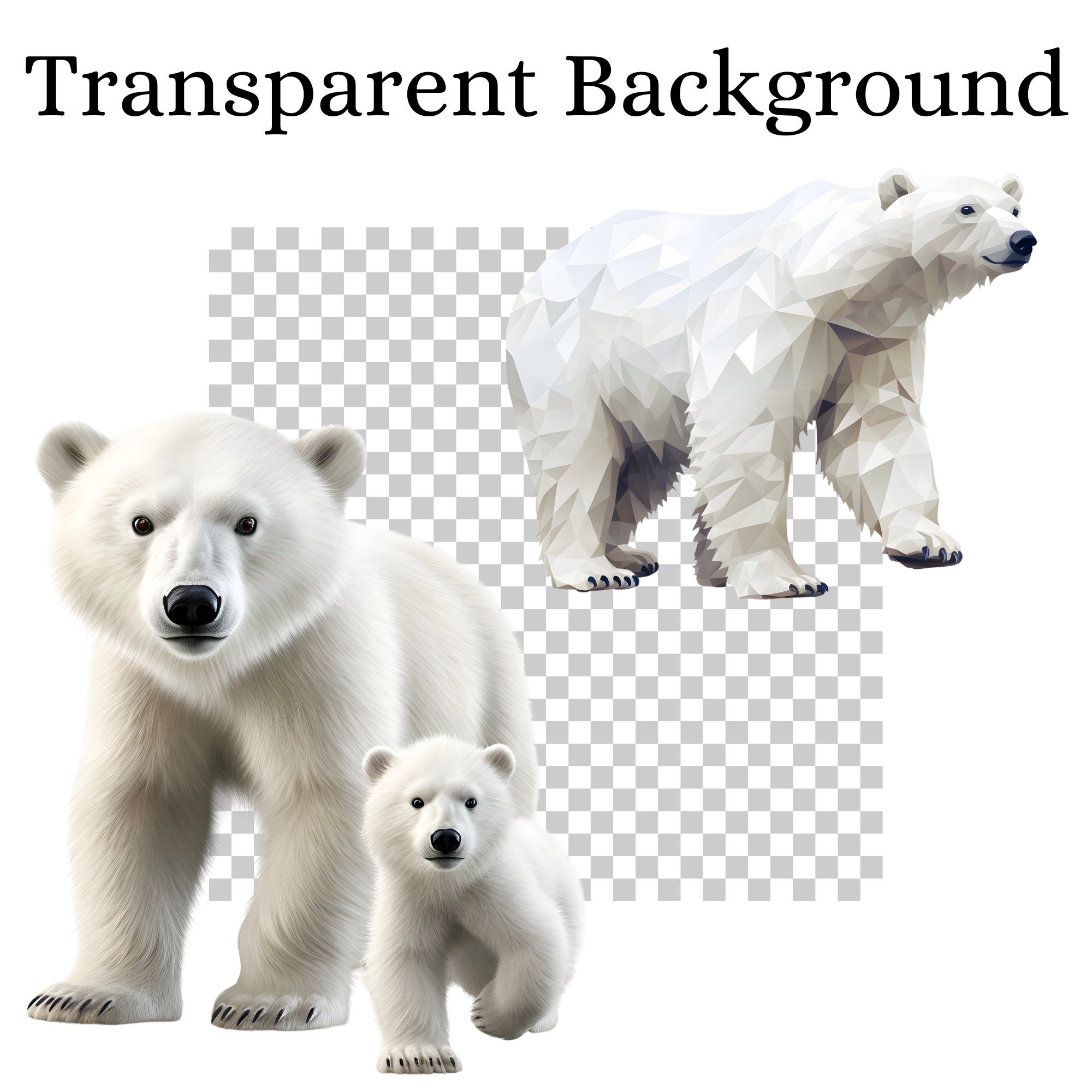 Polar Bear Clipart, High Resolution 300 DPI PNG, Transparent Background ...