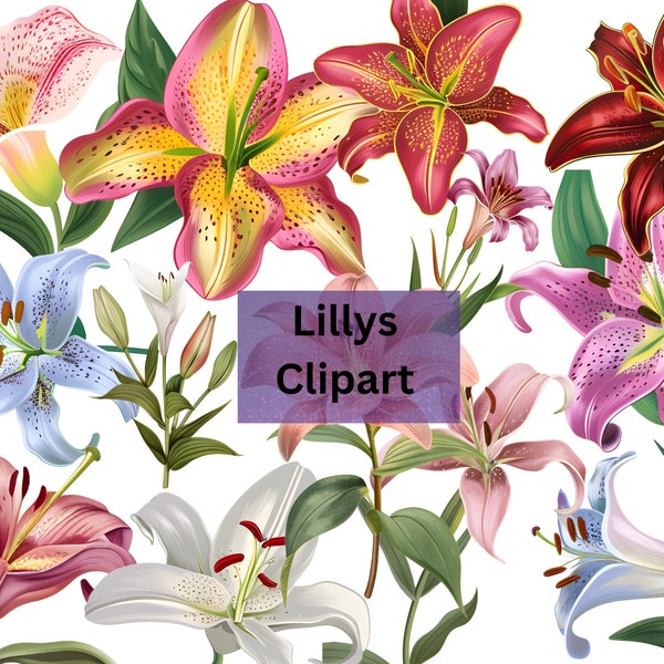 Tiger Lily Clipart, variety of colors for designs for spring, commercial use