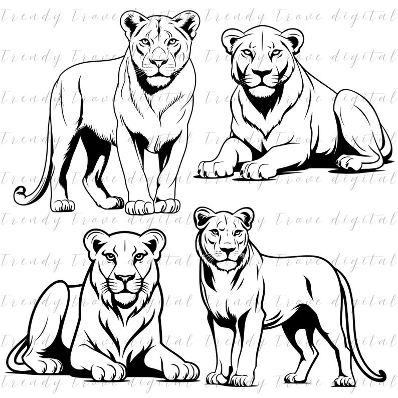 Lioness SVG