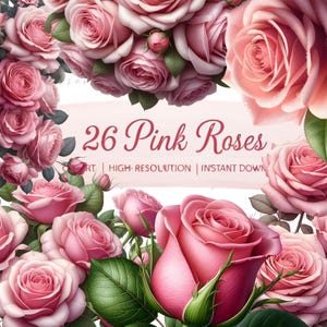 Könnte beinhalten: Ein Arrangement aus rosa Rosen, einige in voller Blüte, andere als Knospen, mit grünen Blättern. Das Bild enthält den Text "26 Pink Roses" auf einem rosa Banner, mit zusätzlichem Text darunter. Die Rosen haben eine leuchtend rosa Farbe.
