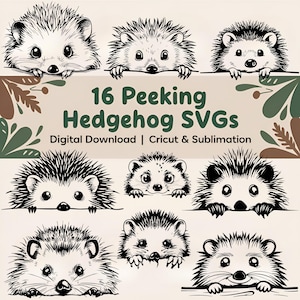 Peeking Hedgehog SVG, Woodland Animal Clipart, Cute Hedgehog Decal, Hedgehog Face SVG, Cricut File, Baby Shower Clipart, Instant Download