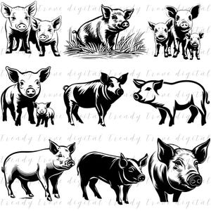 Pig SVG Bundle, Farm Animal SVG, Pig Silhouette SVG, Barnyard , Country Farm svg, Rustic Pig Cut Files, Cricut Pig , Silhouette Pig