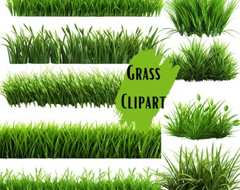 Grass Clipart Set, 22 PNG-Dateien, 3600x3600, 300 DPI, perfekt für digitale Kunst und Design-Projekte
