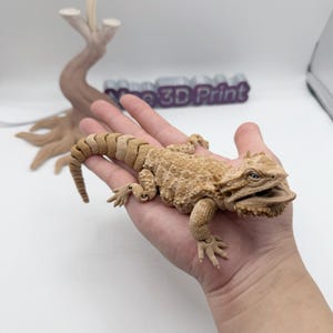 Bearded Dragon,3D Printed lizard Gecko Super movable Articulated Toy, Realistic Poseable Lizard with Opening Jaw | gecko | Flexi Toys