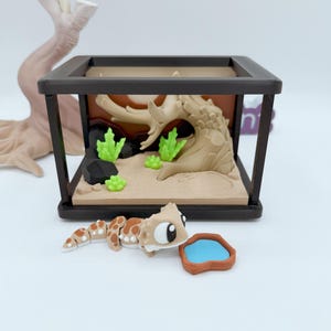 Pu&ograve; includere: Una scena di terrario in miniatura con una statuina di geco marrone e bianco, una piccola ciotola d'acqua blu e un paesaggio desertico dettagliato all'interno di un recinto con cornice nera. La scena comprende piante verdi, rocce e uno sfondo beige.