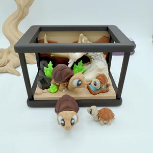 Pu&ograve; includere: Un diorama con una famiglia di tartarughe dei cartoni animati. La scena comprende una scatola con cornice nera con una base sabbiosa, piante verdi e un tronco di colore chiaro. Diverse tartarughe sono all'interno della scatola e due sono all'esterno. Le tartarughe hanno gusci marroni e grandi occhi espressivi.