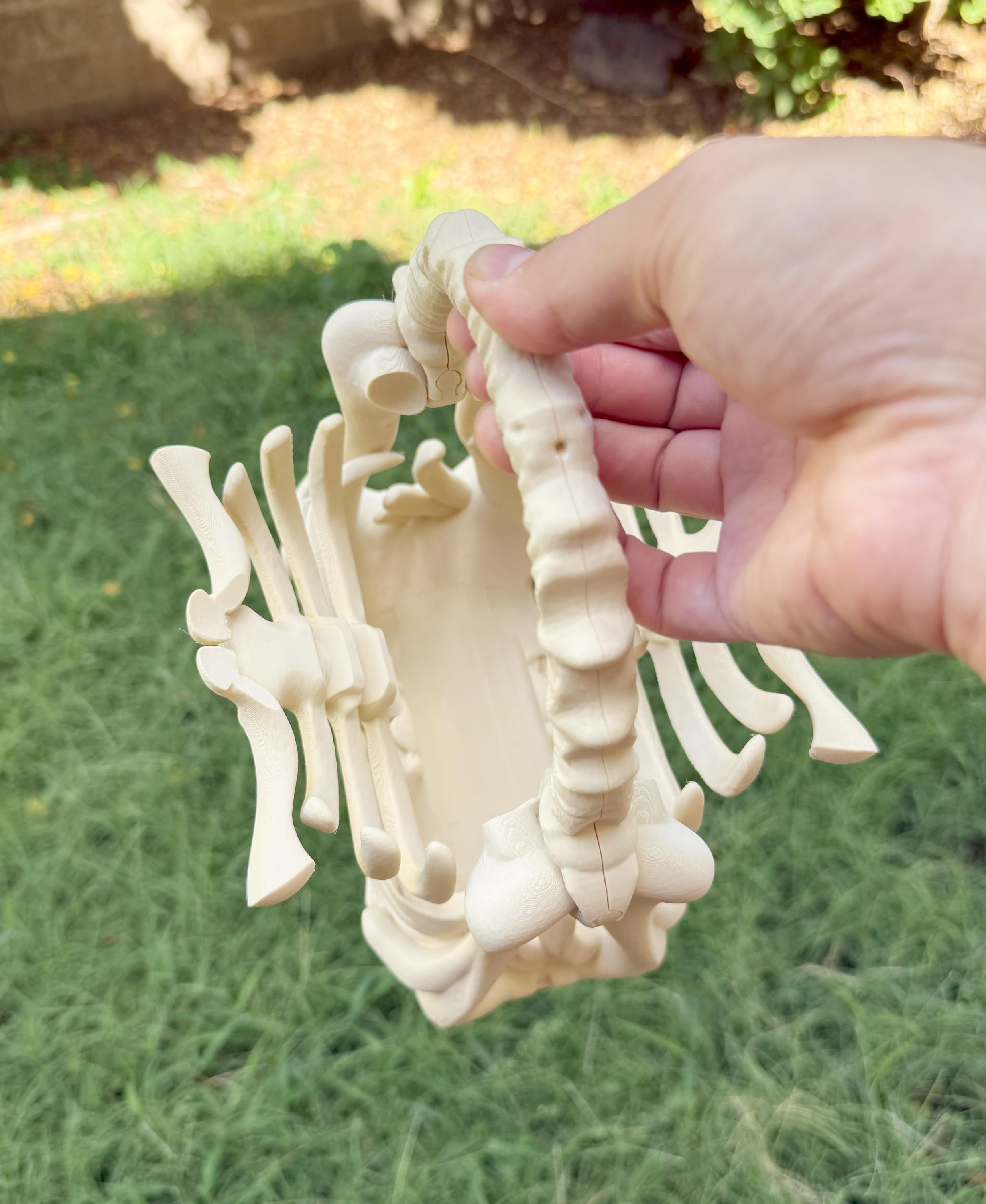 3D Printed Skull Bag – Skeleton Rib Cage Purse – Gothic Bone Handbag ...