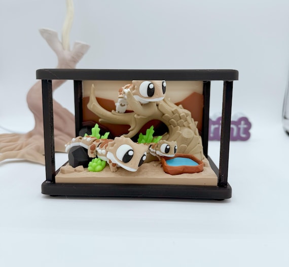 3D Printed Bearded Dragon & Tortoise Fidget Set – Flexi Reptile Enclosure lizard | Gecko | sensory toy | Desk Toy | Stress Toy | Gift