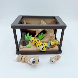Leopard Gecko & Tortoise Fidget Set – 3D Printed Flexi Reptile Enclosure Gecko | Tortoise | sensory toy | Desk Toy | Stress Toy | Gift
