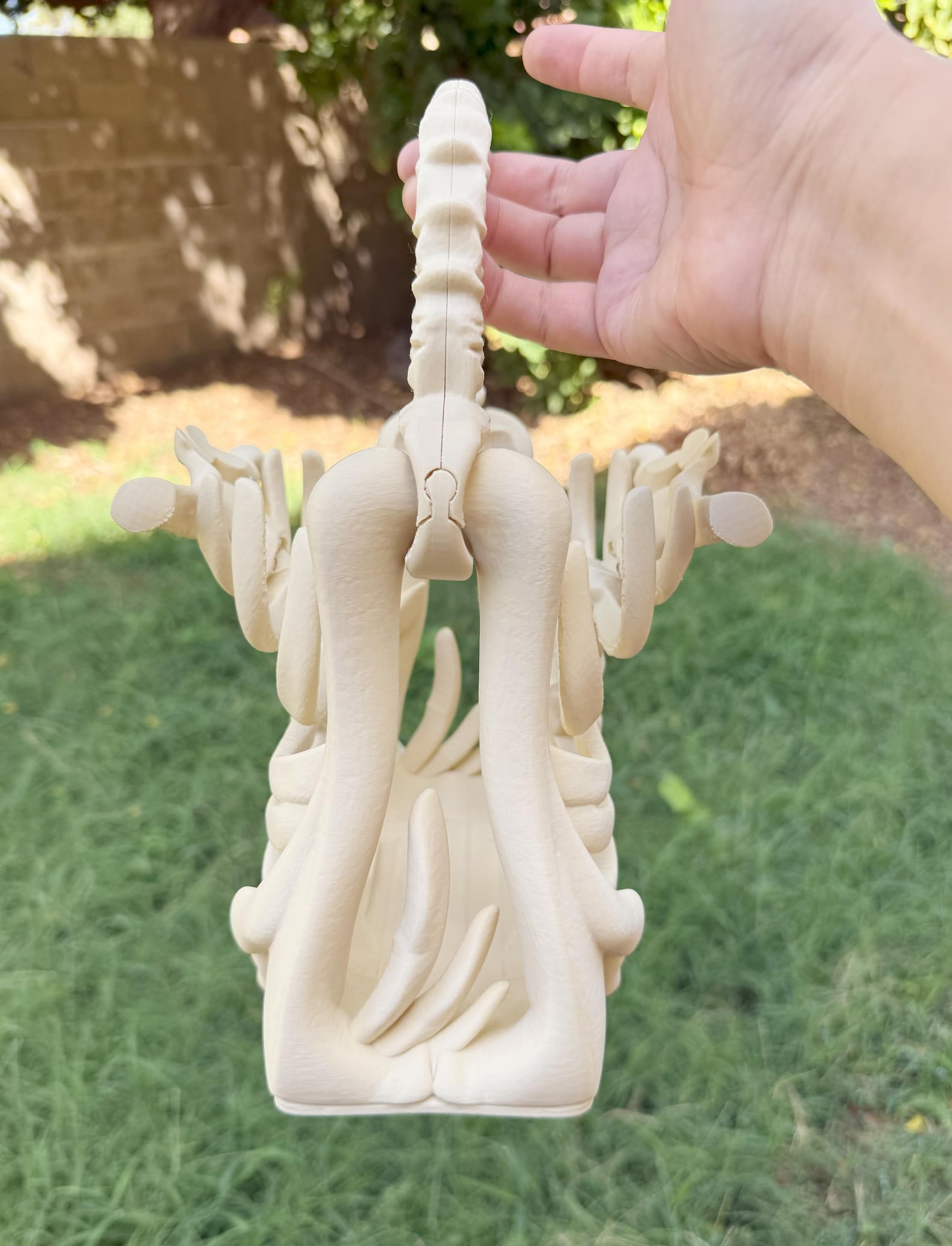 3D Printed Skull Bag – Skeleton Rib Cage Purse – Gothic Bone Handbag ...