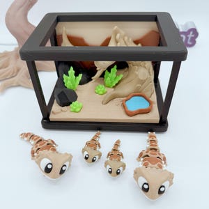 Pu&ograve; includere: Un terrario in miniatura con cornice nera, raffigurante un paesaggio desertico con piante verdi, uno stagno blu e sabbia beige. Quattro piccole statuette di geco, marroni e beige, sono disposte davanti al terrario.