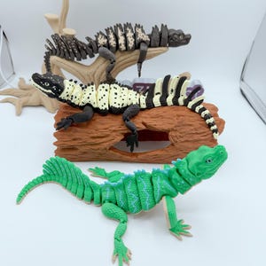3D gedruckte Sailfin Eidechse/Sailfin Dragon Super bewegliches Gliederspielzeug, realistische Poseable Eidechse | Gecko | FlexiToys