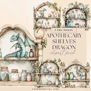 Apothecary Clipart Pack, Dragon Shelf Clipart PNG, Potion Bottles, Watercolor Clipart, Mystical Cabinet, Magical Spells, Witchcraft Graphics