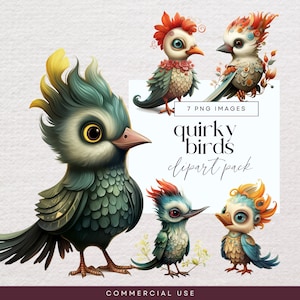 Quirky Bird Clip Art, Transparent PNG, Funny Bird Clip Art, Junk Journal Birds, Whimsical Garden Ephemera, Funny Animal Illustrations