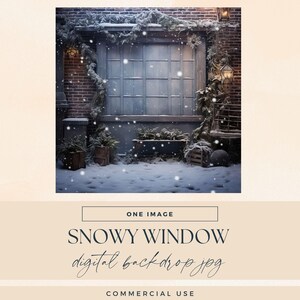 May include: A digital backdrop image featuring a snowy scene with a weathered blue window as the focal point. The window is framed by a brick wall, snow-covered greenery, and falling snowflakes. The text "SNOWY WINDOW digital backdrop jpg" is displayed.