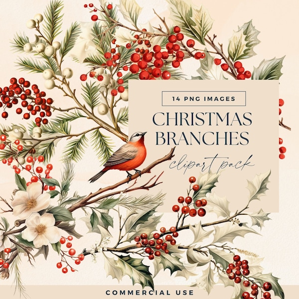 Watercolour Christmas Branch Clipart, Seasonal Pine Foliage Clip Art, Xmas Pine Greenery Illustration, Festive Junk Journal, Holly Berries