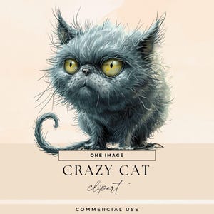 Op de afbeelding: Digitale illustratie van een grijze kat met grote gele ogen en een humeurige uitdrukking. De kat heeft lange snorharen en een pluizig uiterlijk. Tekst op de afbeelding luidt "ONE IMAGE", "CRAZY CAT clipart" en "COMMERCIAL USE".