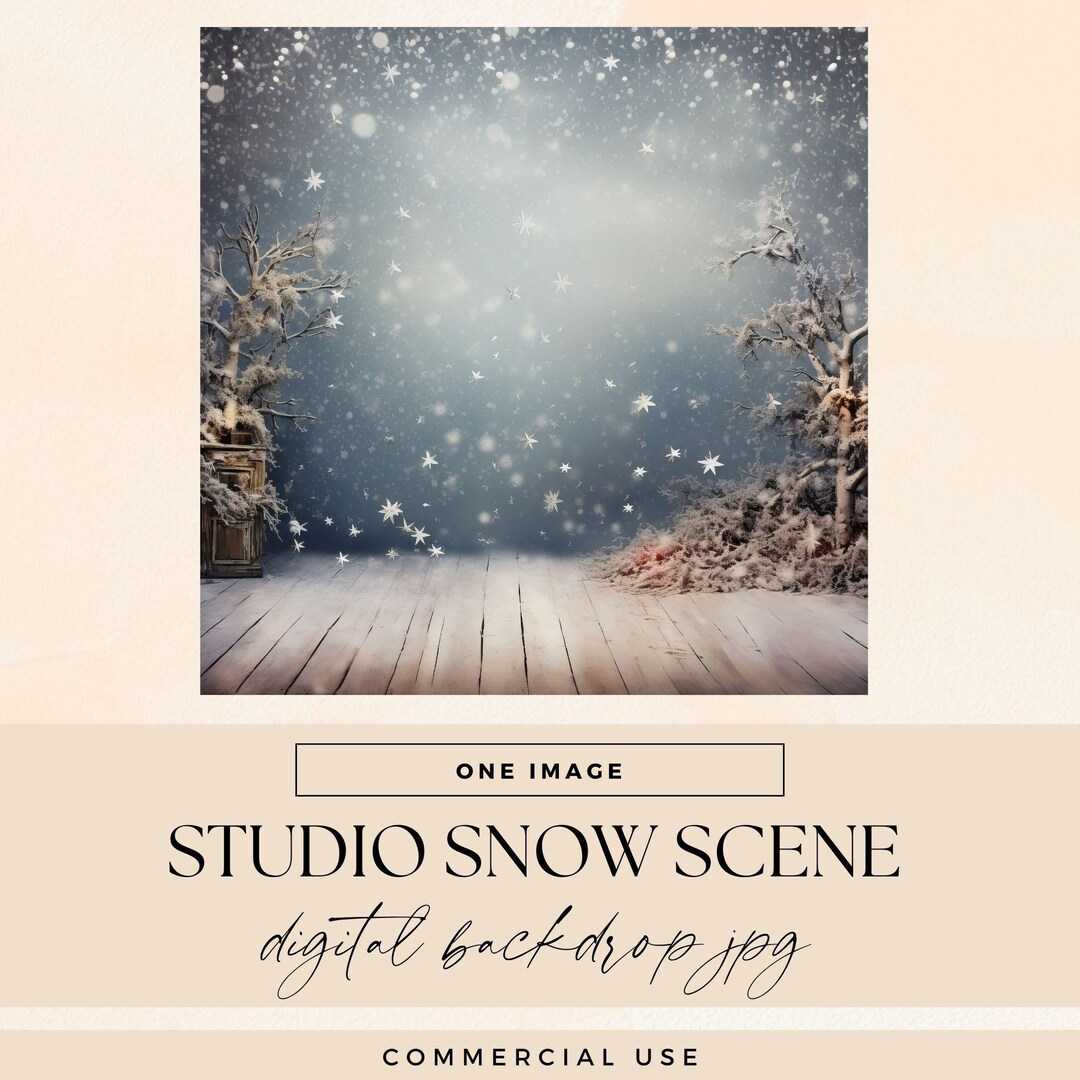 Winter Snow Scene Photo Backdrop, INSTANT DOWNLOAD, Digital Studio ...