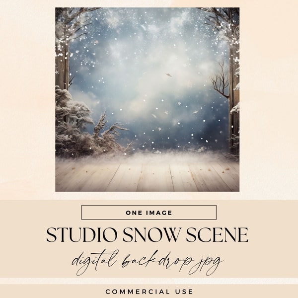 Winter Snow Scene Photo Backdrop, INSTANT DOWNLOAD, Digital Studio Background Overlays, Christmas Snowy Landscape Photography, Commerical