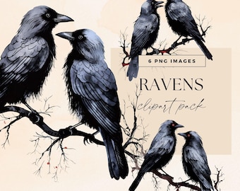 Raven clipartkit, transparante png, Crow Junk Journal kortstondige ephemera, Blackbird Clip Art-bundel, mystieke gotische graphics, Blackbird-illustraties