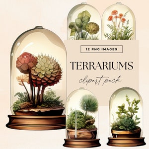 Paquete de imágenes prediseñadas de terrario, imágenes prediseñadas para uso comercial, PNG transparentes, imágenes de plantas, capricho de diario basura, paquete de ilustración de tarros de jardín
