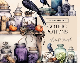 Imágenes prediseñadas de botellas de poción gótica, imágenes prediseñadas de estantes de boticario, ilustración mística, diario basura de hechizos mágicos, gráficos de brujería de fantasía