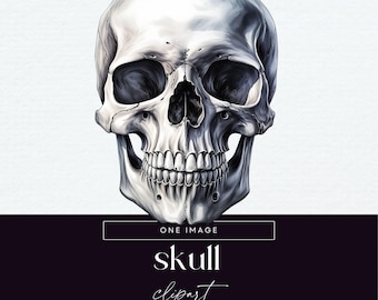 Human Skull Clipart, Transparent PNG, Skeleton Illustration, Anatomy Graphics, Gothic Junk Journal Clip Art, Occult Ephemera PNG Download