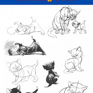 May include: An Animal Anatomy Sketching Guide featuring black and white pencil drawings of kittens in various poses. The illustrations show cats playing with a ball, sitting, and standing, with visible construction lines used to define their anatomy.