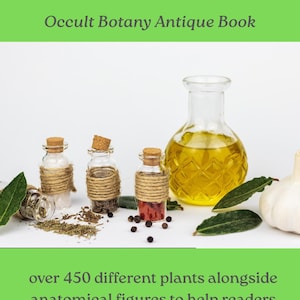 May include: A book titled COMPLETE HERBAL ASTROLOGICAL MEDICINE Occult Botany Antique Book, featuring over 450 different plants and anatomical figures. Beside it are three small glass bottles wrapped in twine, a larger oil bottle, and garlic.