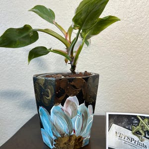 May include: A small potted plant with large green leaves and pink stems. The square-shaped pot is black with a hand-painted blue and white floral design. A small business card is visible.