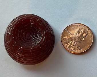Large Brown Vintage Plastic Bird's Nest Button A little over 1 1/4 inch. Self Shank.