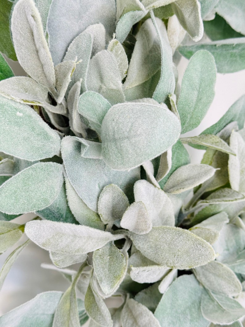 May include: Close-up of a wreath made of faux lambs ear leaves. The leaves are a light green color and have a fuzzy texture.