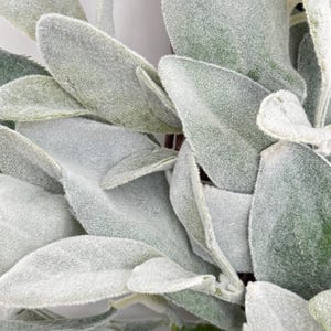 May include: Close-up of a faux lamb's ear wreath with soft, fuzzy, gray-green leaves.