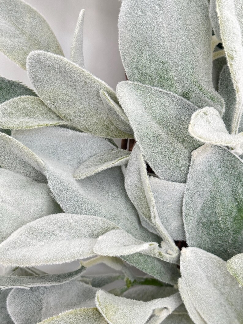 May include: Close-up of a faux lamb's ear wreath with soft, fuzzy, gray-green leaves.