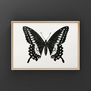 Vintage Butterfly Illustration | Black and White Botanical Print | Downloadable Art