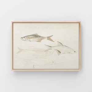 Vintage Fisch Skizze Kunstdruck | Cottagecore Wanddekor | Digitaler Download
