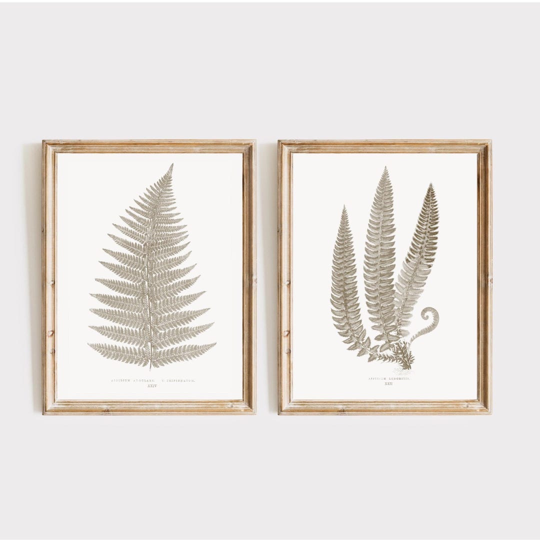 Neutral Botanical Fern Print Set of 2 | Vintage Herbarium Wall Art ...