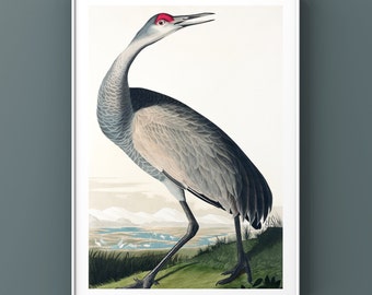 Crane Bird Vintage Poster, Printable Wall Art, Midcentury Modern, Bathroom Decor