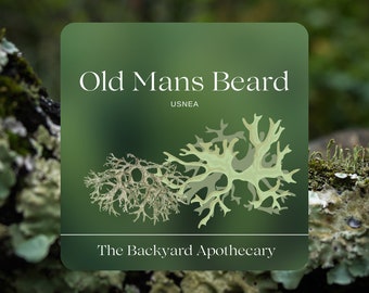 Usnea (Old Mans Beard)- Dried Tea