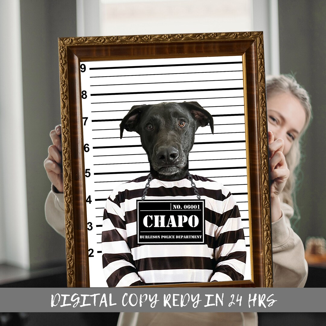 Custom Mugshot Pet Portrait Mugshot Mugshot Portrait Pet Portrait Funny