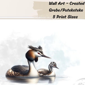 Grèbe huppé, oiseau indigène de Nouvelle-Zélande, Puteketeke, téléchargement immédiat, impression amateur d'oiseaux, oiseau de l'année, salon, oeuvre d'art de salle à manger