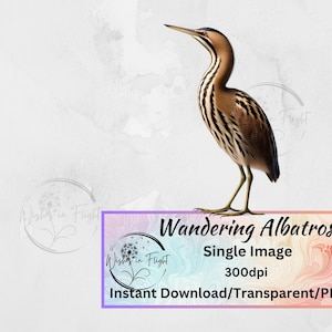 Petit butor PNG Transparent Clip art, téléchargement immédiat, utilisation commerciale impression numérique, Kiwiana, impression oiseau de Nouvelle-Zélande, natif de Nouvelle-Zélande