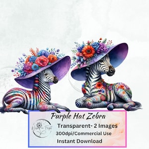 Imagen PNG de cebra con sombrero morado, clip art transparente, álbum de recortes, amante de los animales, cebra linda, arte de pared, clip art individual, arte PNG, vida silvestre
